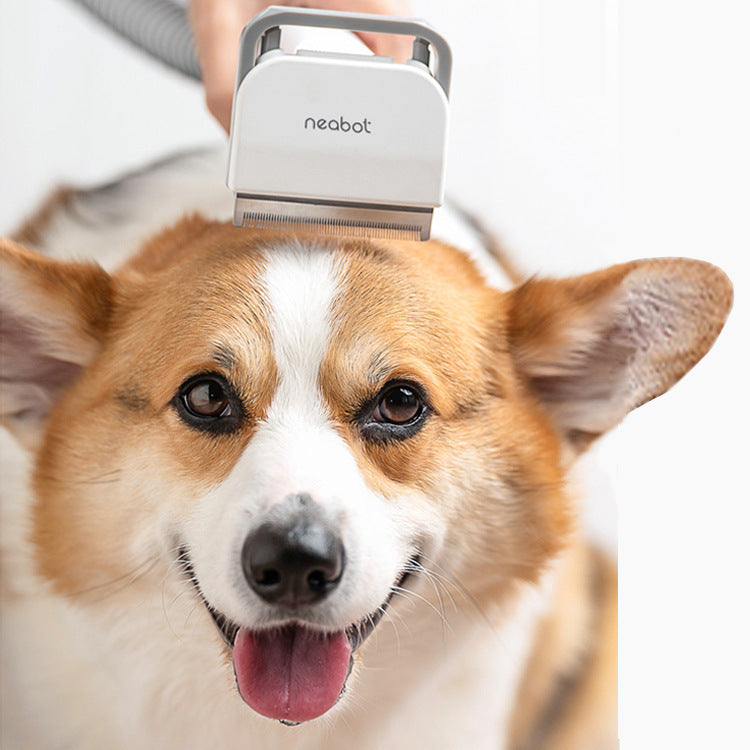 Transform Your Pet's Grooming Experience with Our Grooming Tool