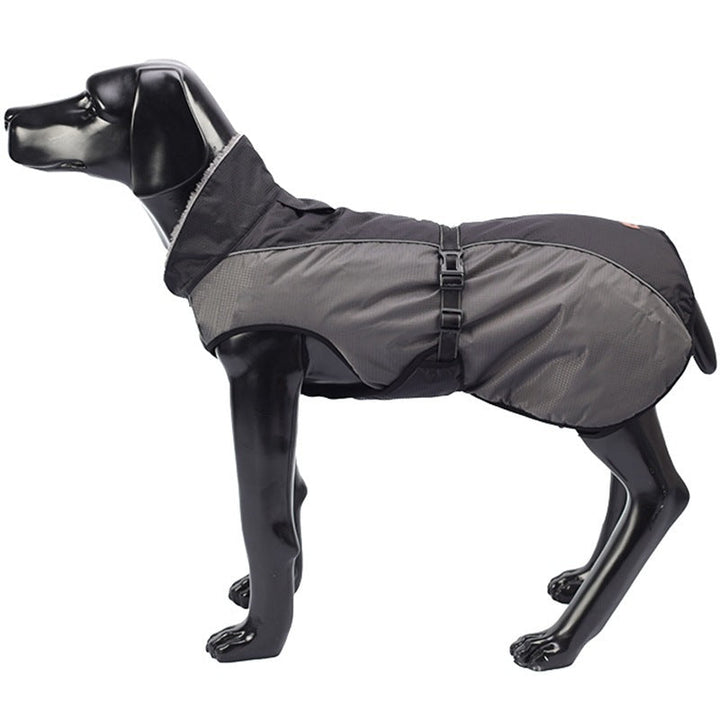 Why Your Dog Needs a Waterproof Raincoat