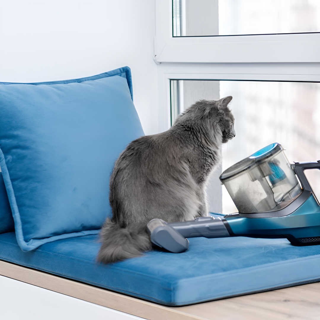 Why a Comfy Bed Matters More Than You Think