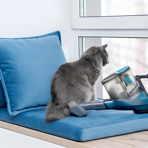 Why a Comfy Bed Matters More Than You Think