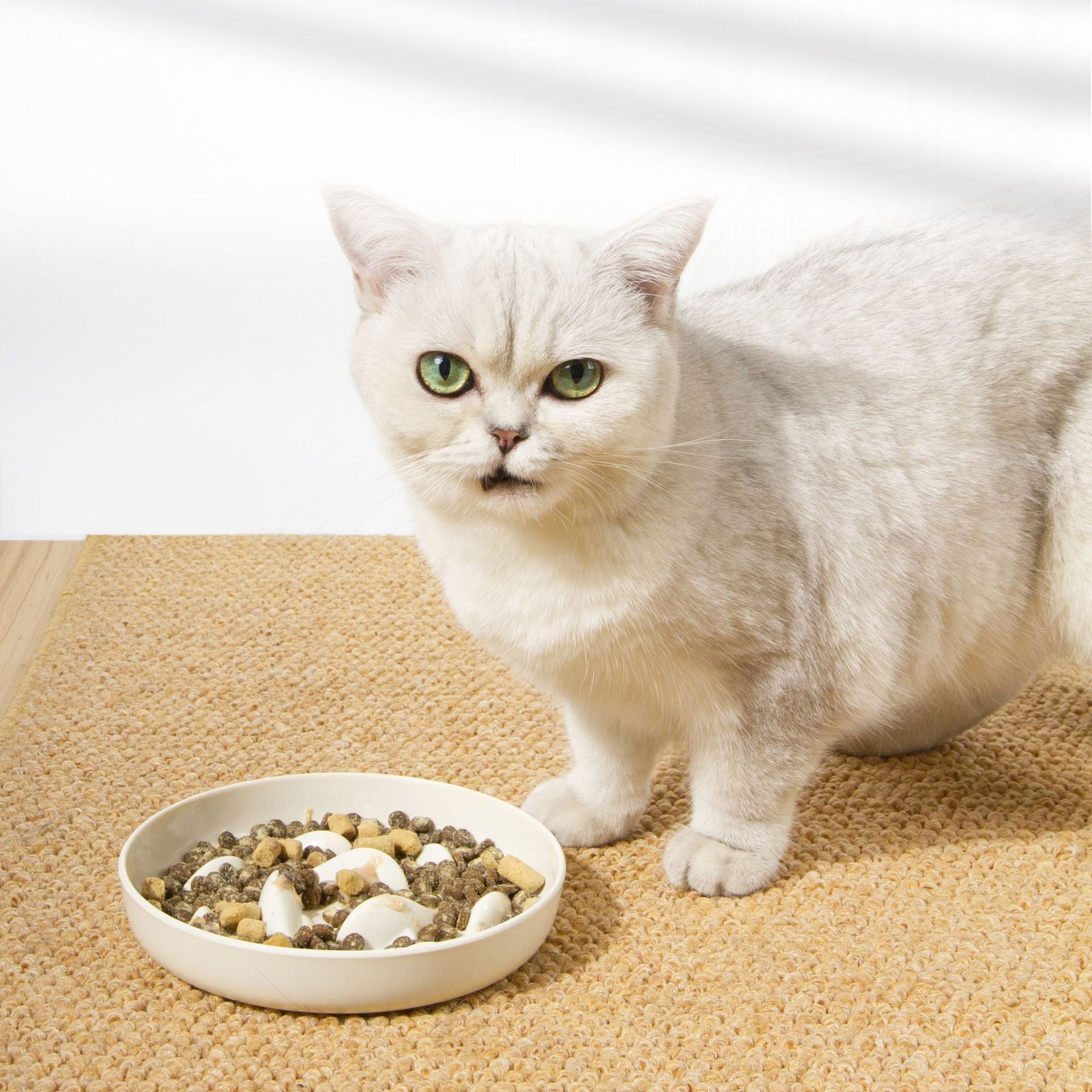 Dogs And Cats Slow Feeding Bowl Pet