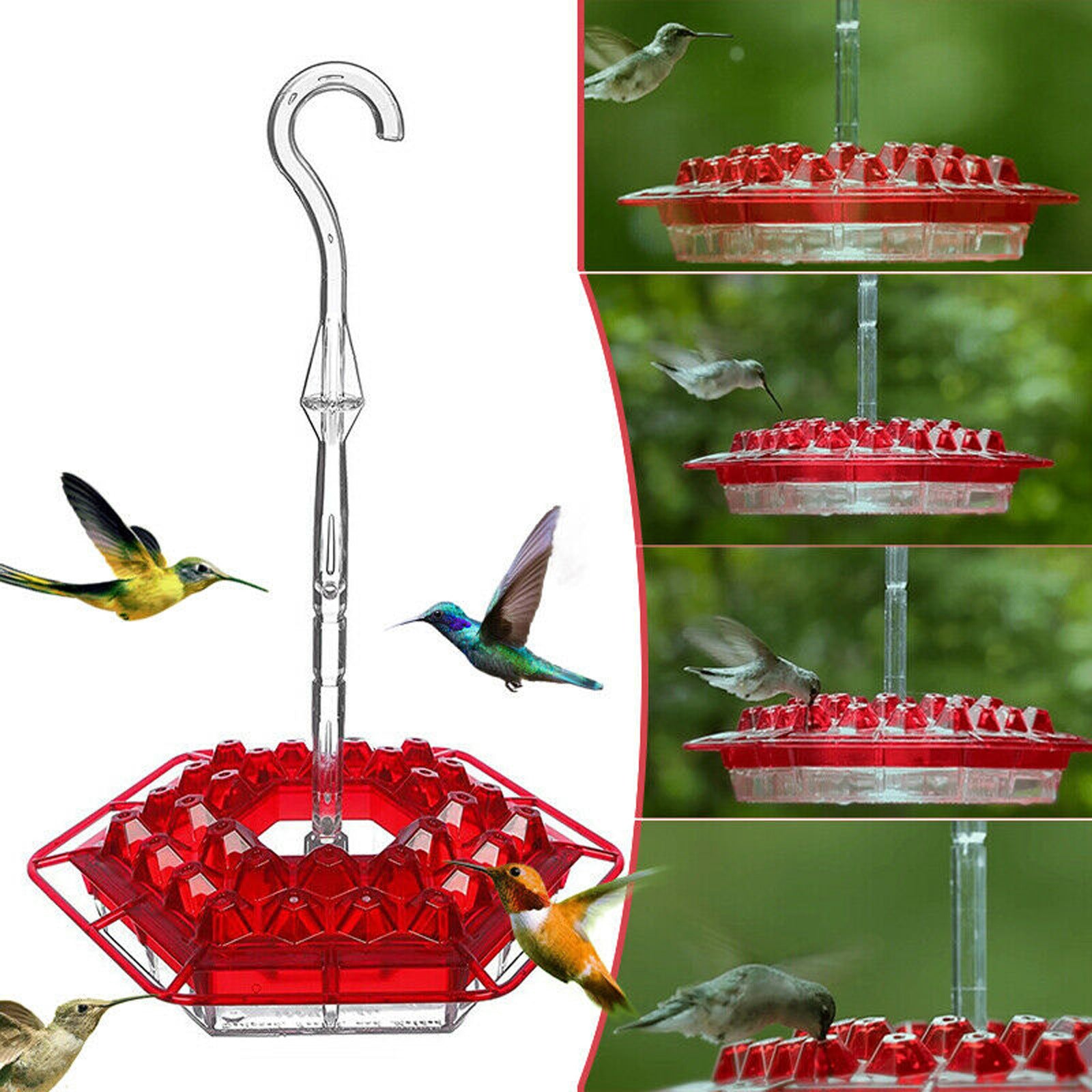 New Flower Hexagonal Bird Feeder Sensation