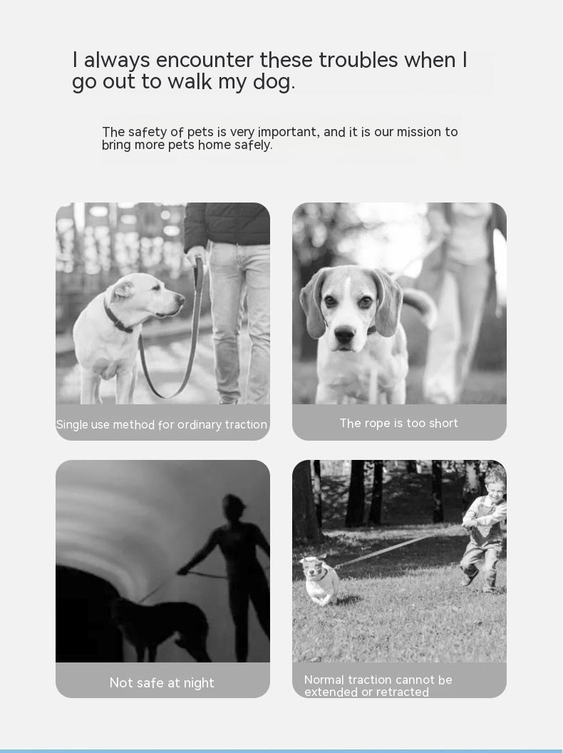 Ring With Light Dog Leash Pet Automatic