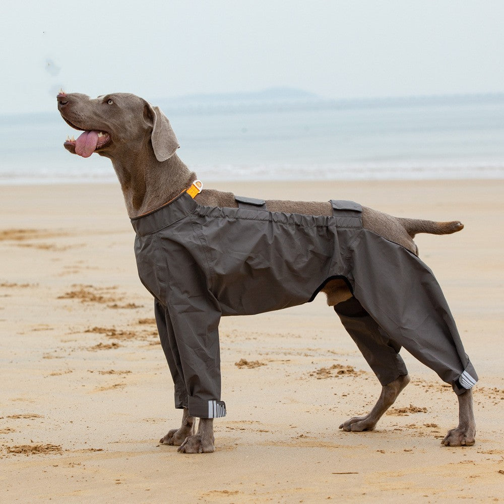 Pet Four-legged Raincoat Medium Large Dog