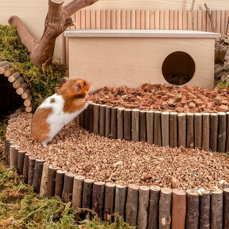 Oak Cork Hamster Digging Dust-free Bedding