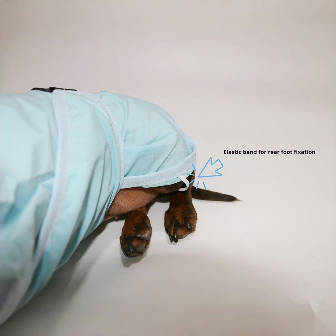 Dog Waterproof Hooded Poncho Raincoat