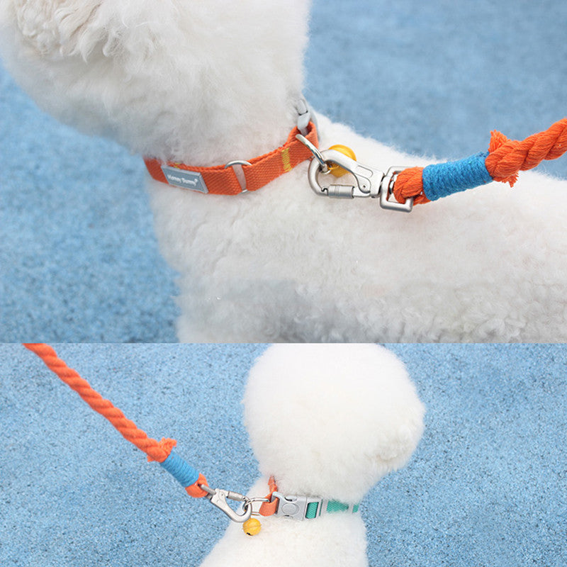 Honeybunny Pet Color Matching Collar Traction