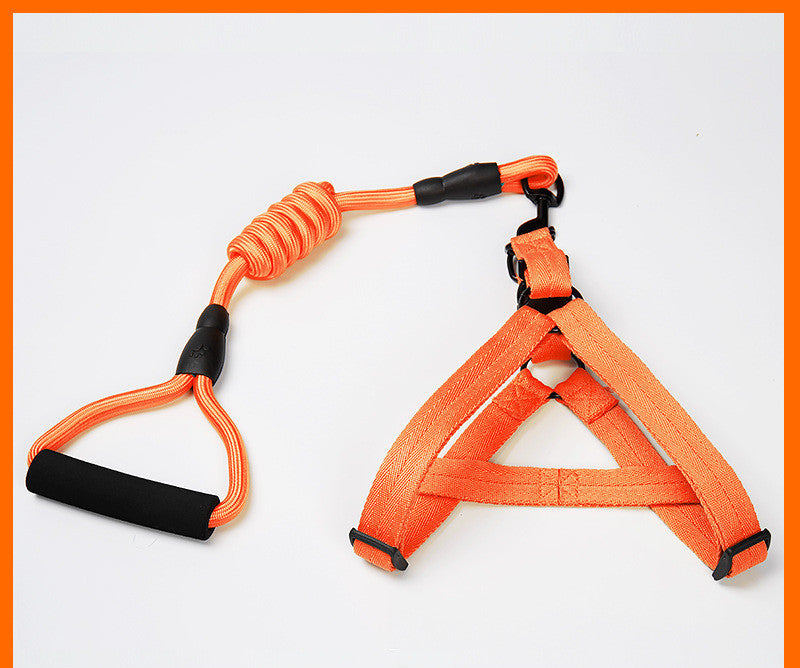 Dog Leash Teddy Dog Leash Cat Chest v