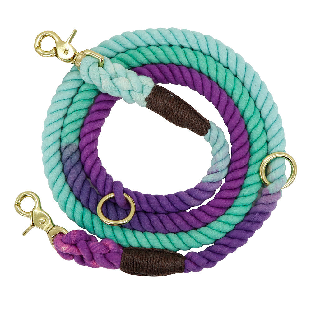 Gradient Color Dog Collars Accessories Leashes