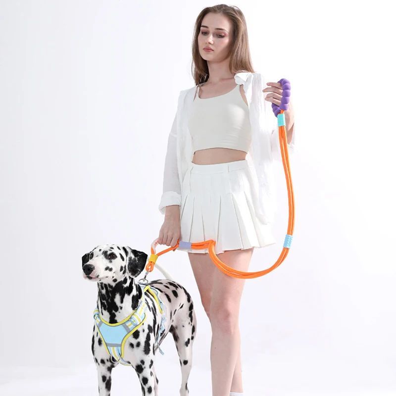 Versatile Pet Traction Leashes With A Comfortable