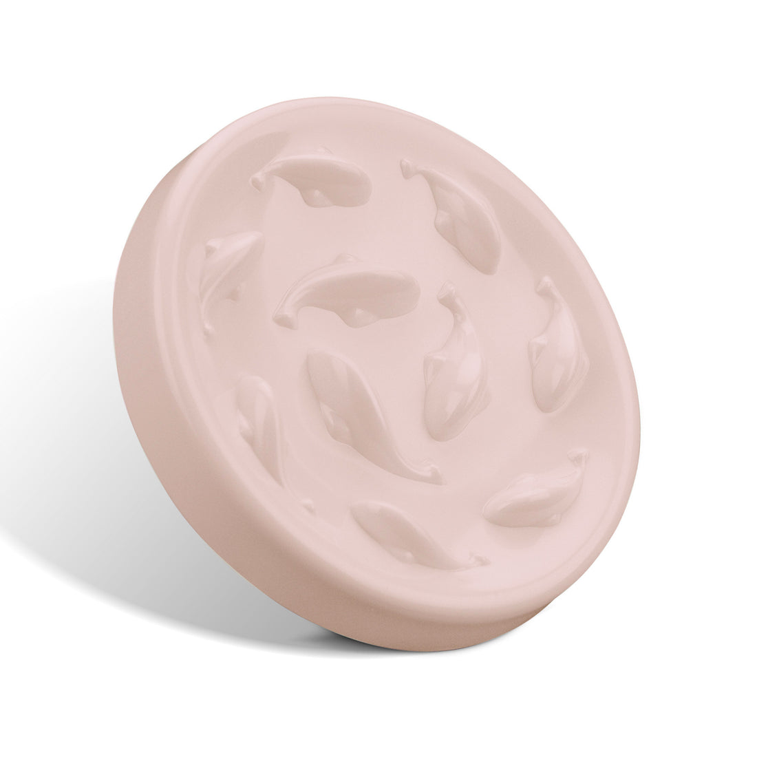 Dogs And Cats Slow Feeding Bowl Pet