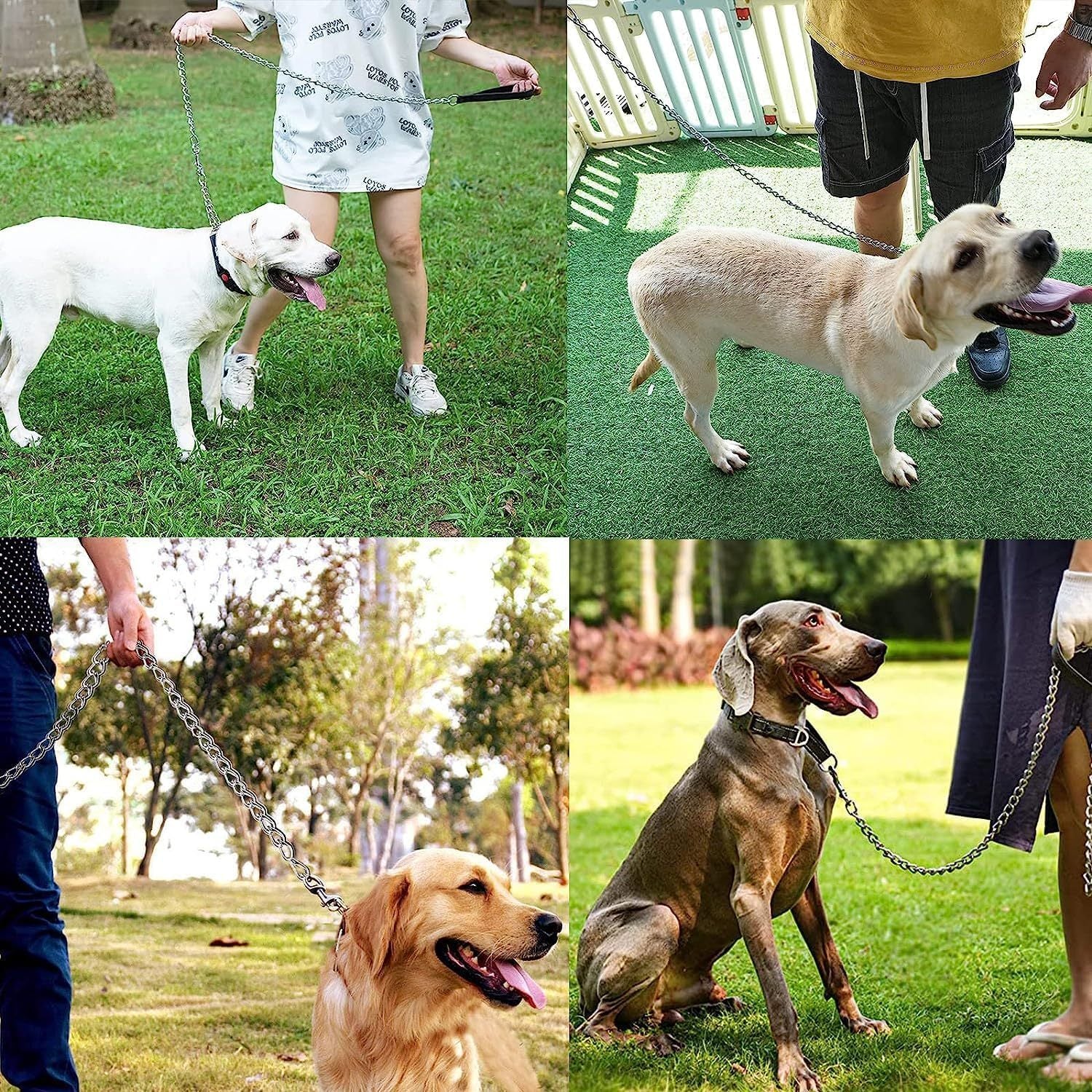 Heavy Duty Metal Dog Leash Chew Proof Pet