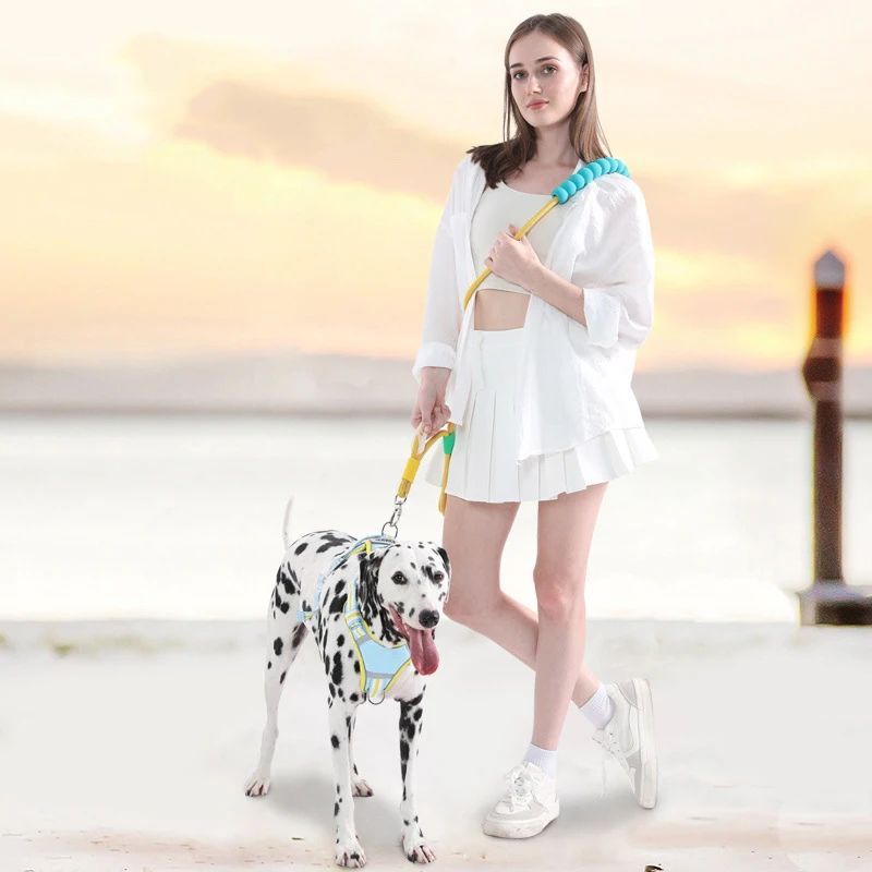 Versatile Pet Traction Leashes With A Comfortable