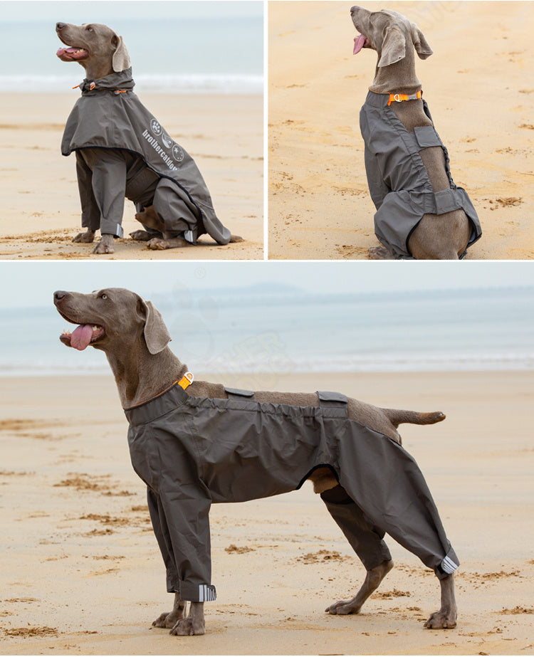 Pet Four-legged Raincoat Medium Large Dog