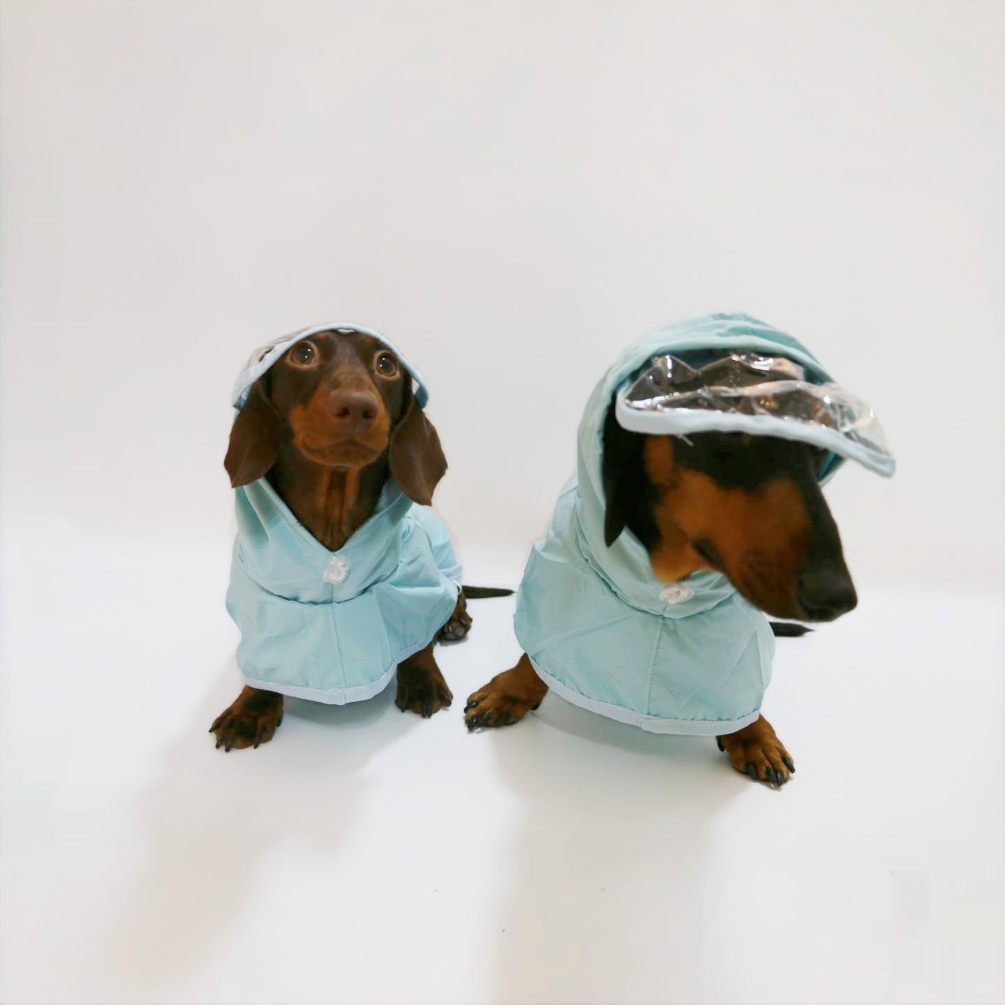 Dog Waterproof Hooded Poncho Raincoat