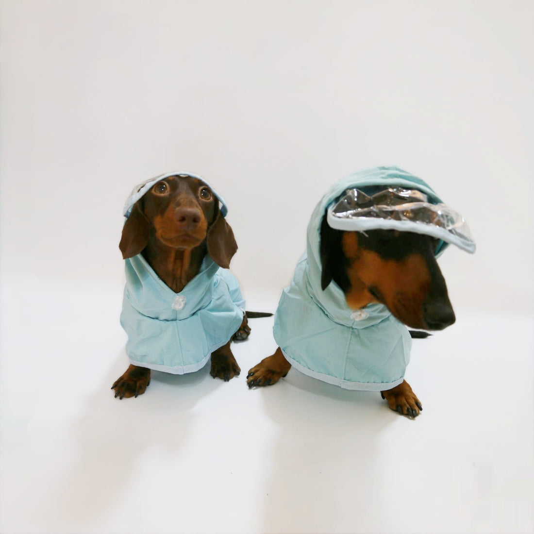 Dog Waterproof Hooded Poncho Raincoat