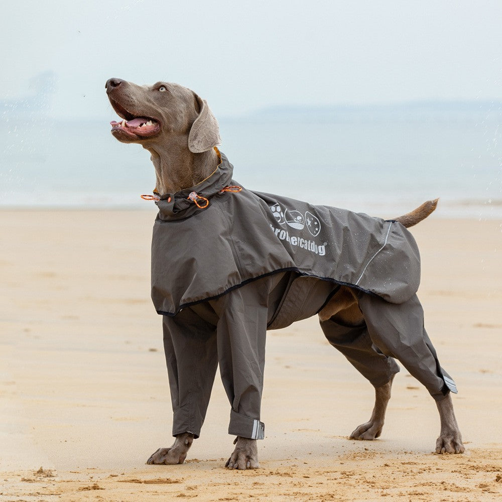 Pet Four-legged Raincoat Medium Large Dog