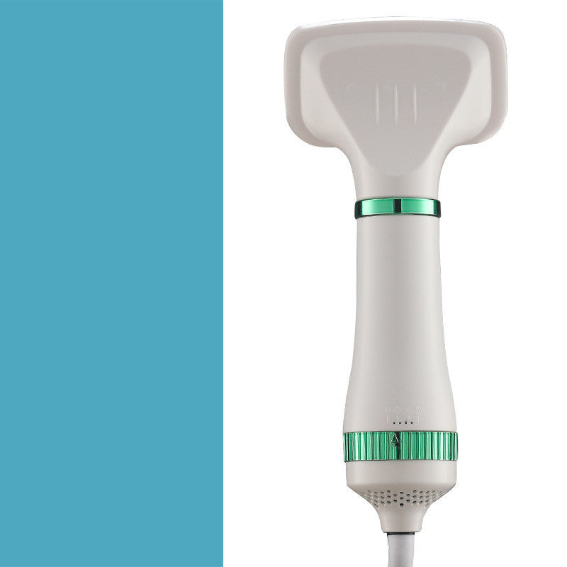 Household Dog Teddy Pet Hair