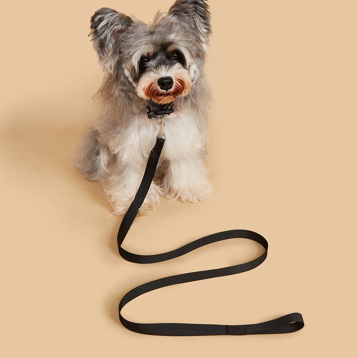 Hand Holding Rope Portable Dog Chain Pet Collar
