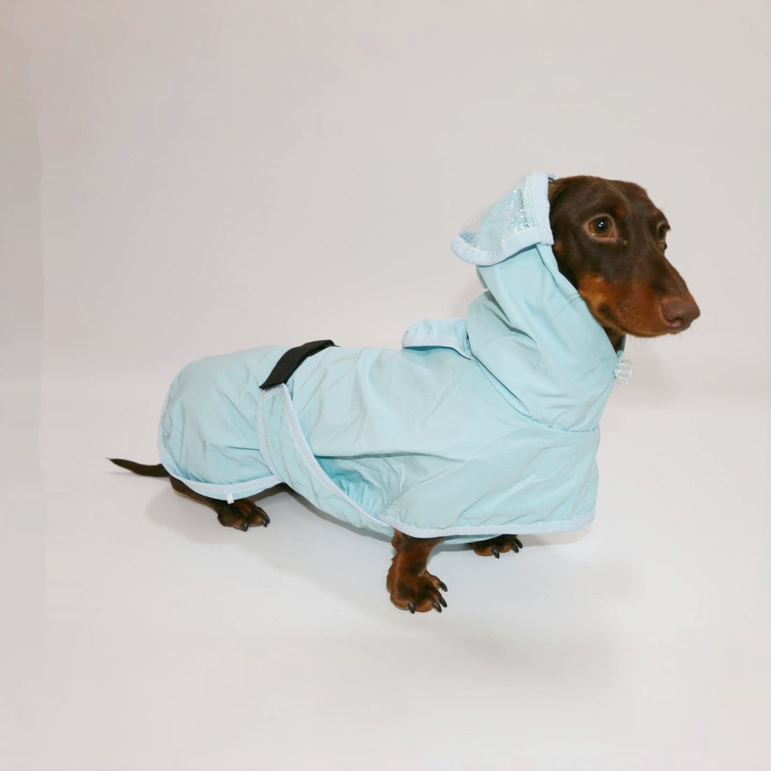 Dog Waterproof Hooded Poncho Raincoat